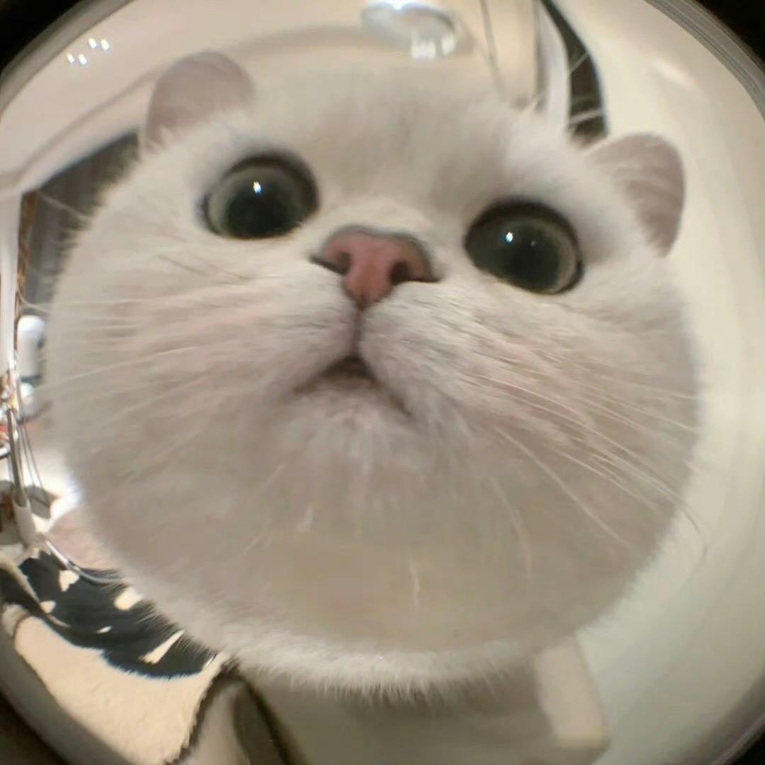 𝐓𝐈𝐘𝐊𝐗𝐗𝐗