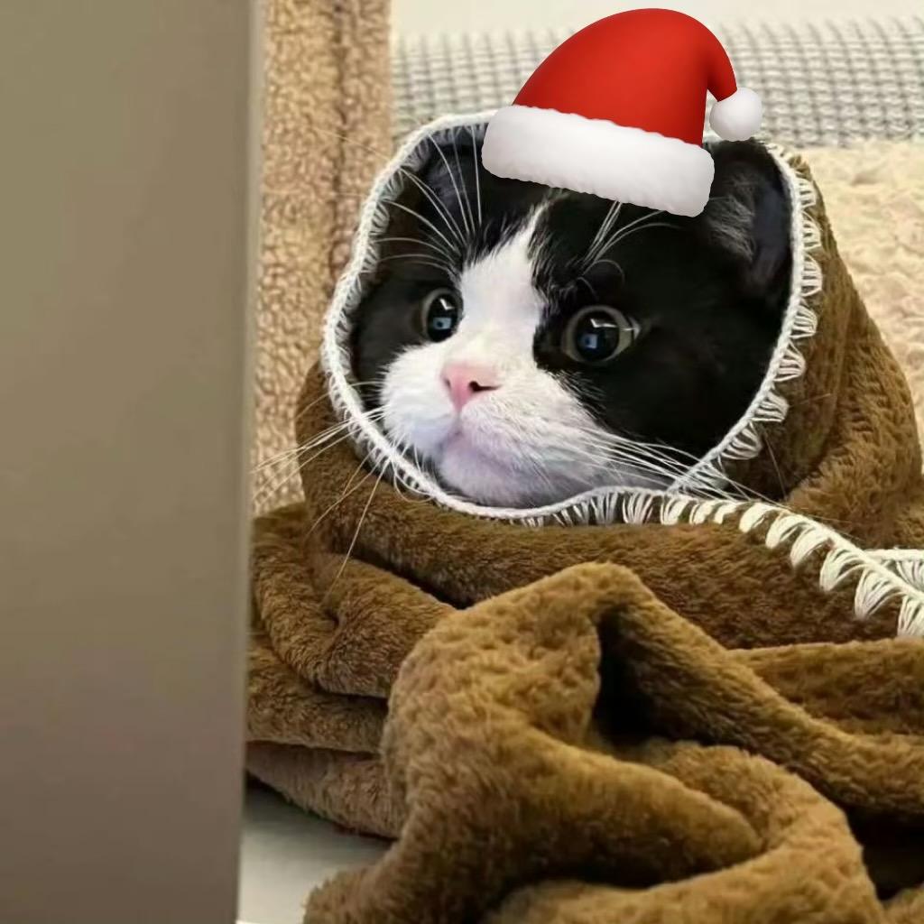 打扮成忧郁总裁被骂装货