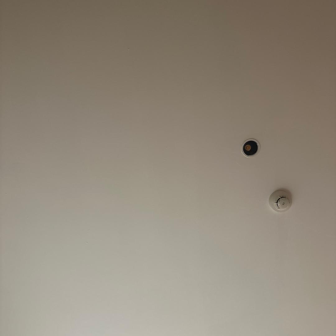可以理解
