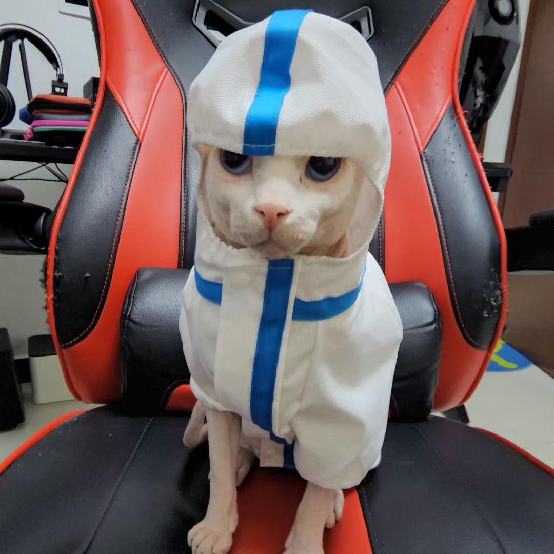 环球哥