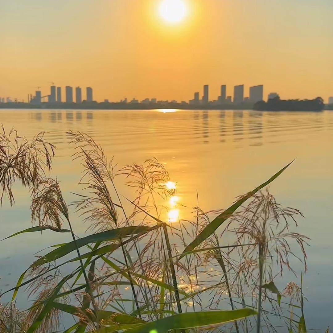 🕊꧔ꦿ᭄ 💞今 非  昔  比🕊꧔