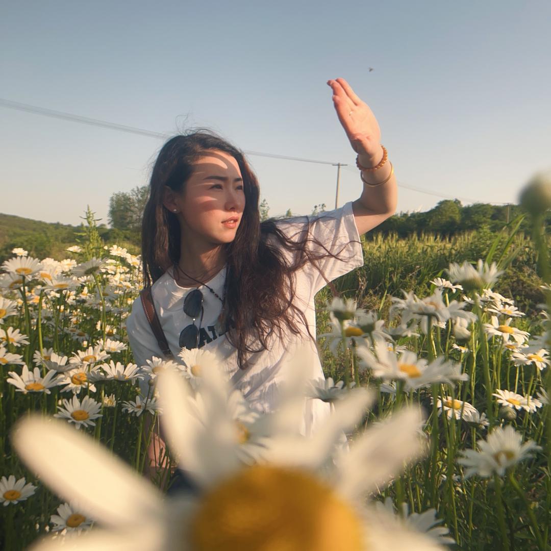 姐的方向盘能养家