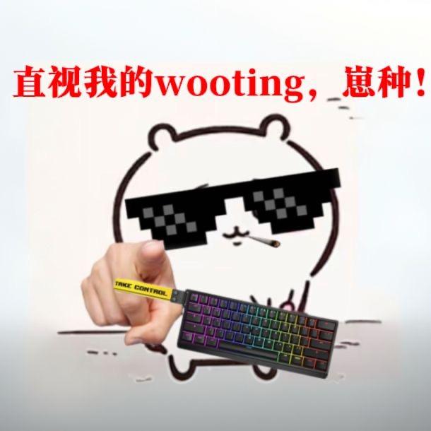 清尘磁轴大王（永劫无间磁轴研究所团长）
