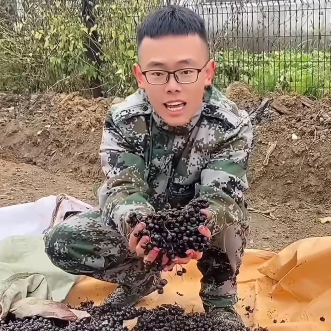 姜姜土特产
