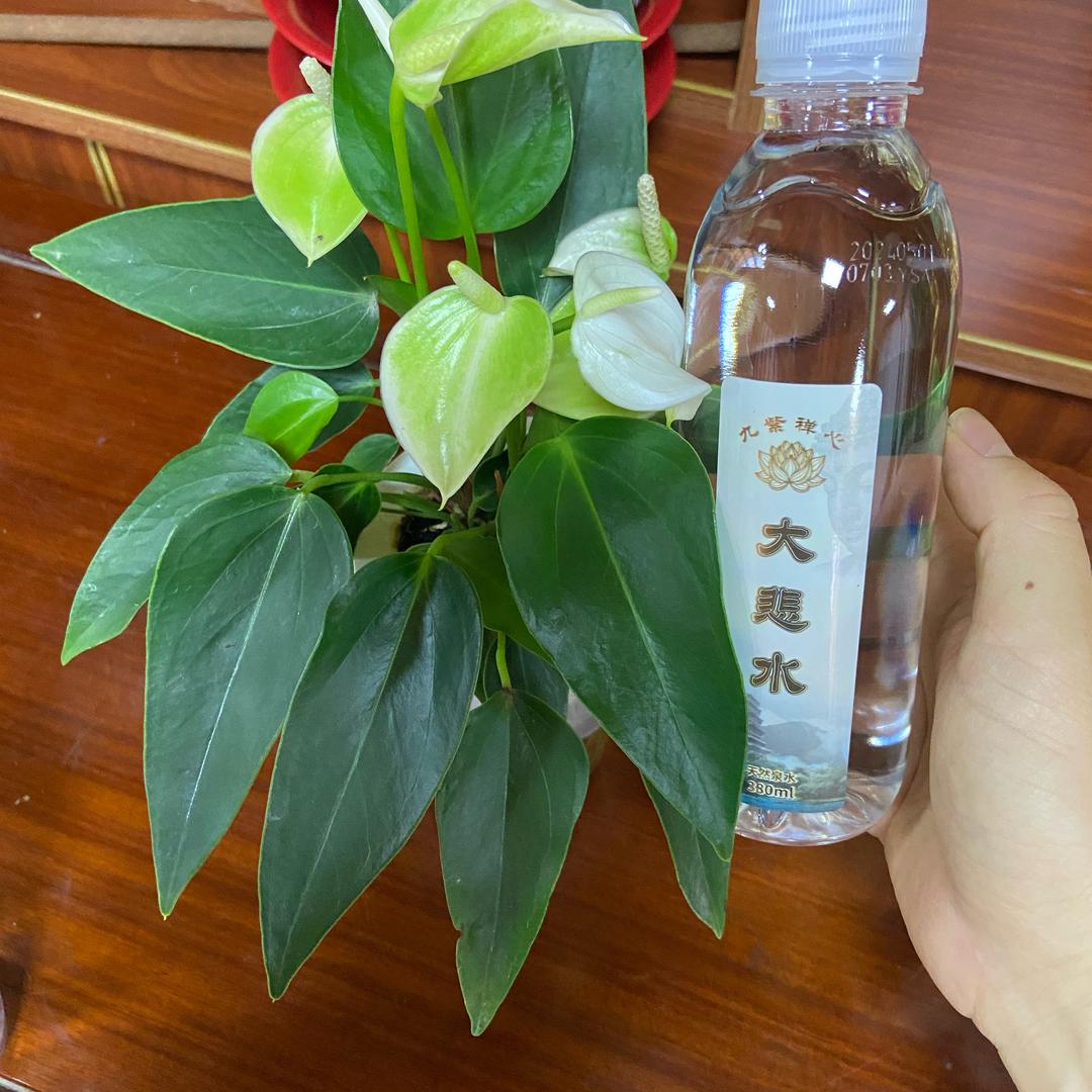 地藏智慧