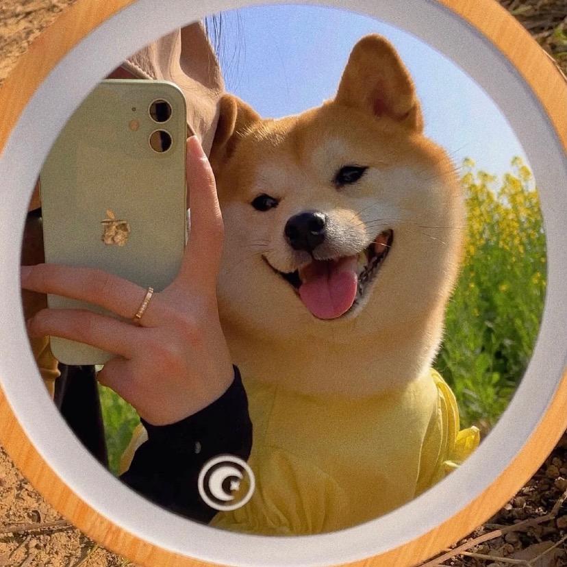 @D。