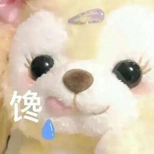 yy