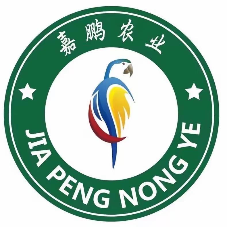 嘉鹏爱鹦