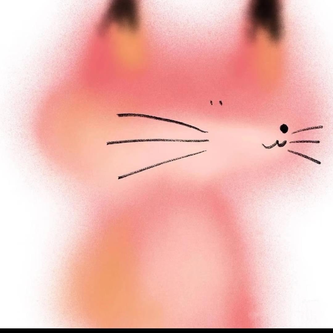 一只小狐狸
