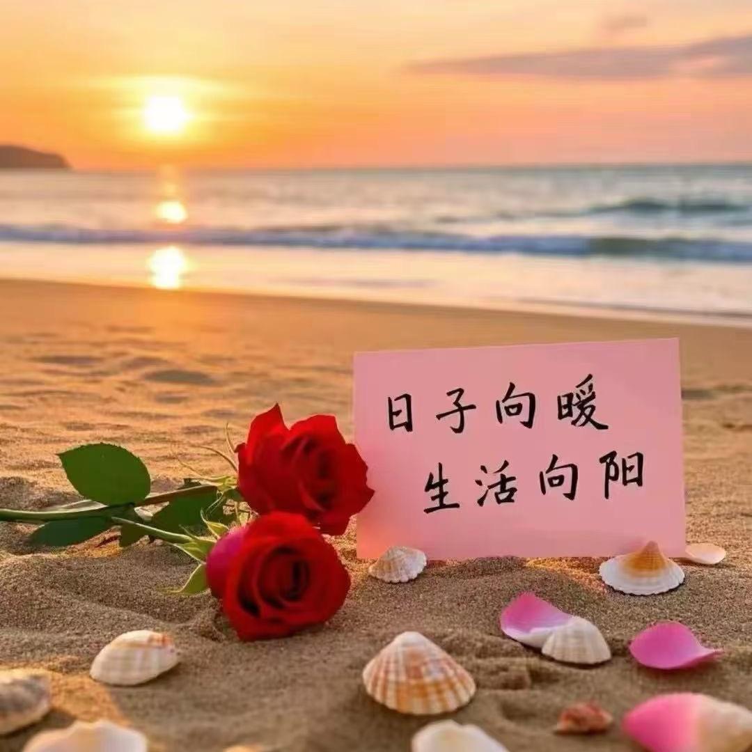阿丽💗