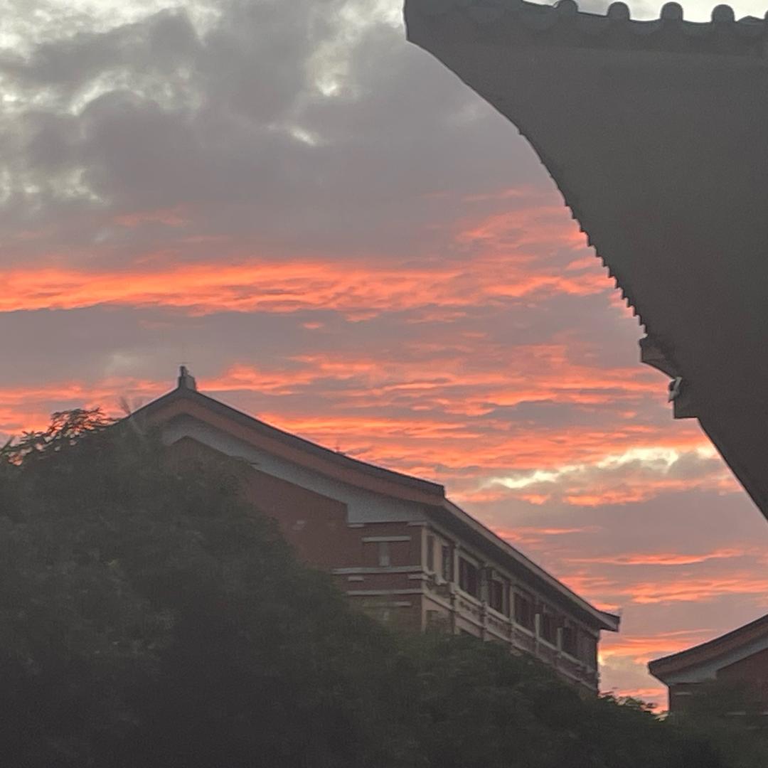 牲在校园