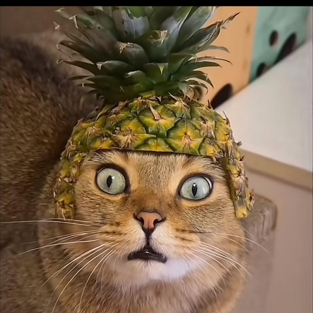 一元