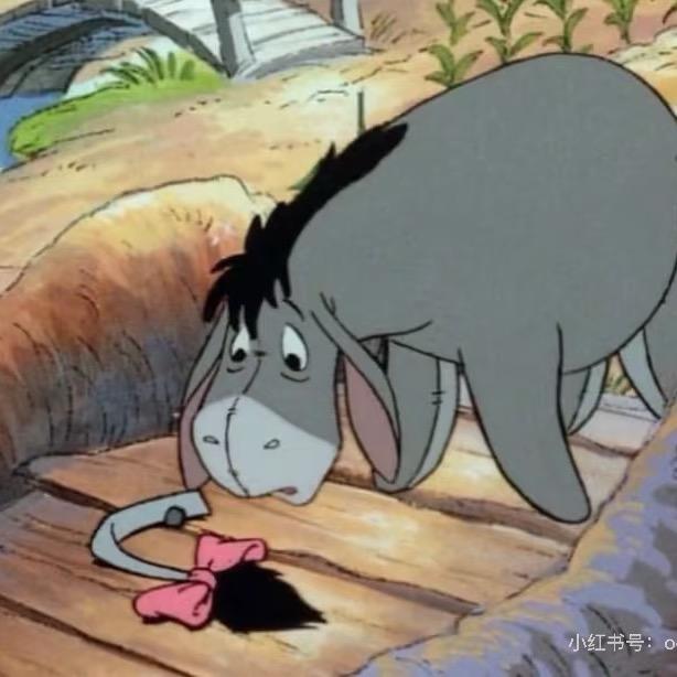 悲伤的驴