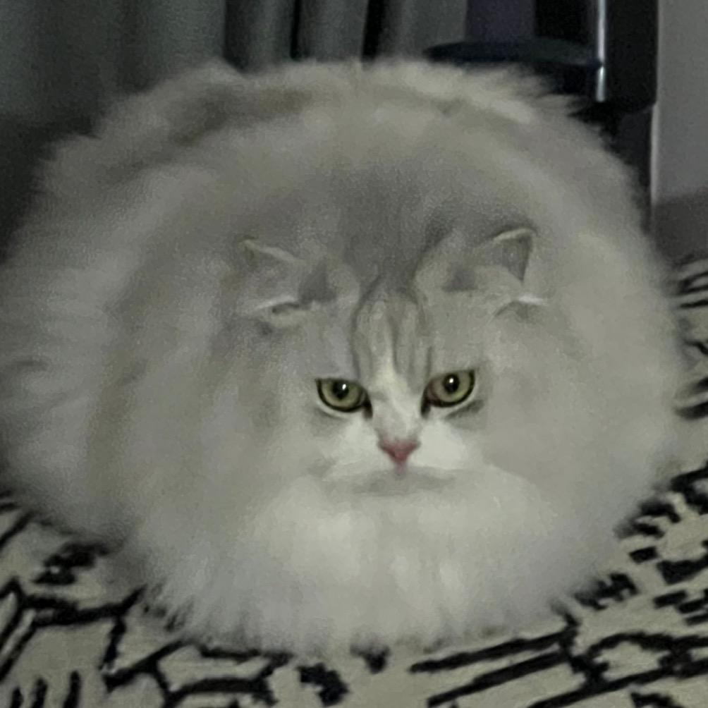 大奖与悠米和我