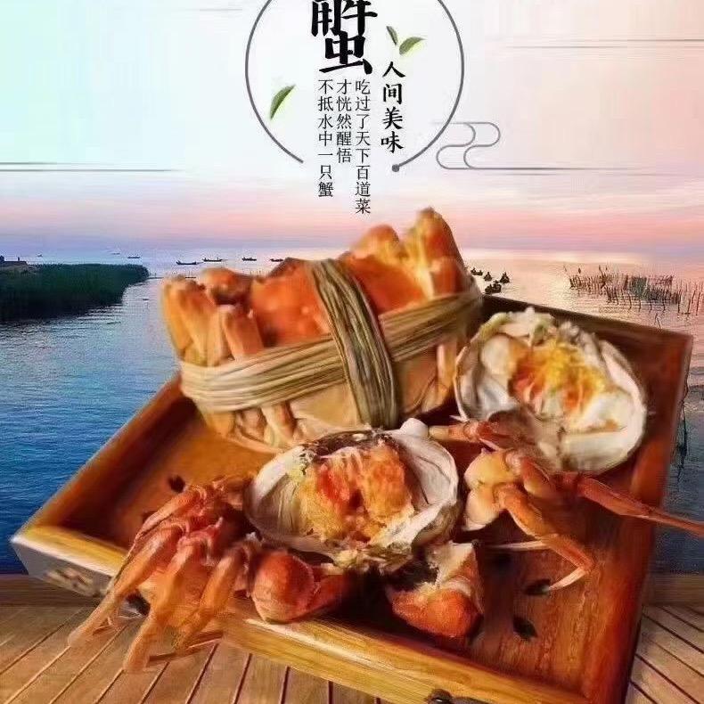 固城湖精品大闸蟹🦀️