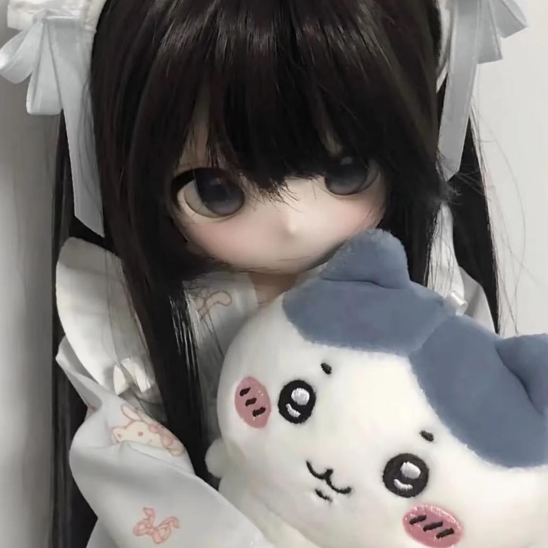 卷卷猫芽力