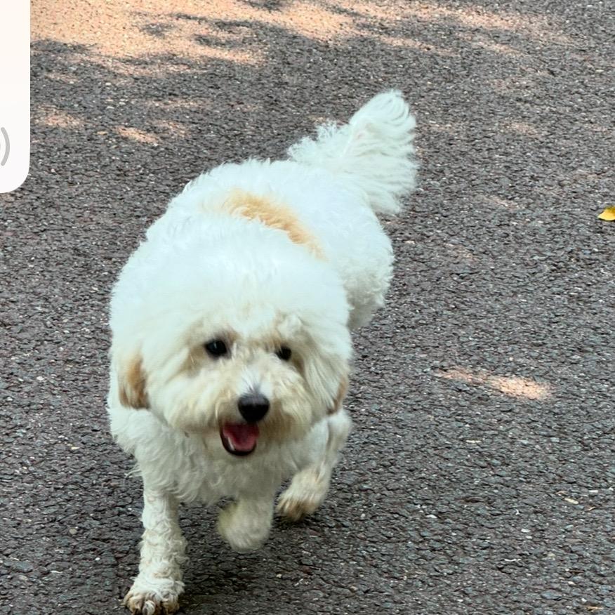 🆔云朵揉碎/.啦💤