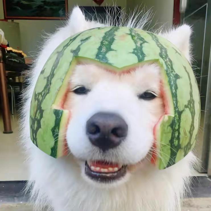 宁静致远