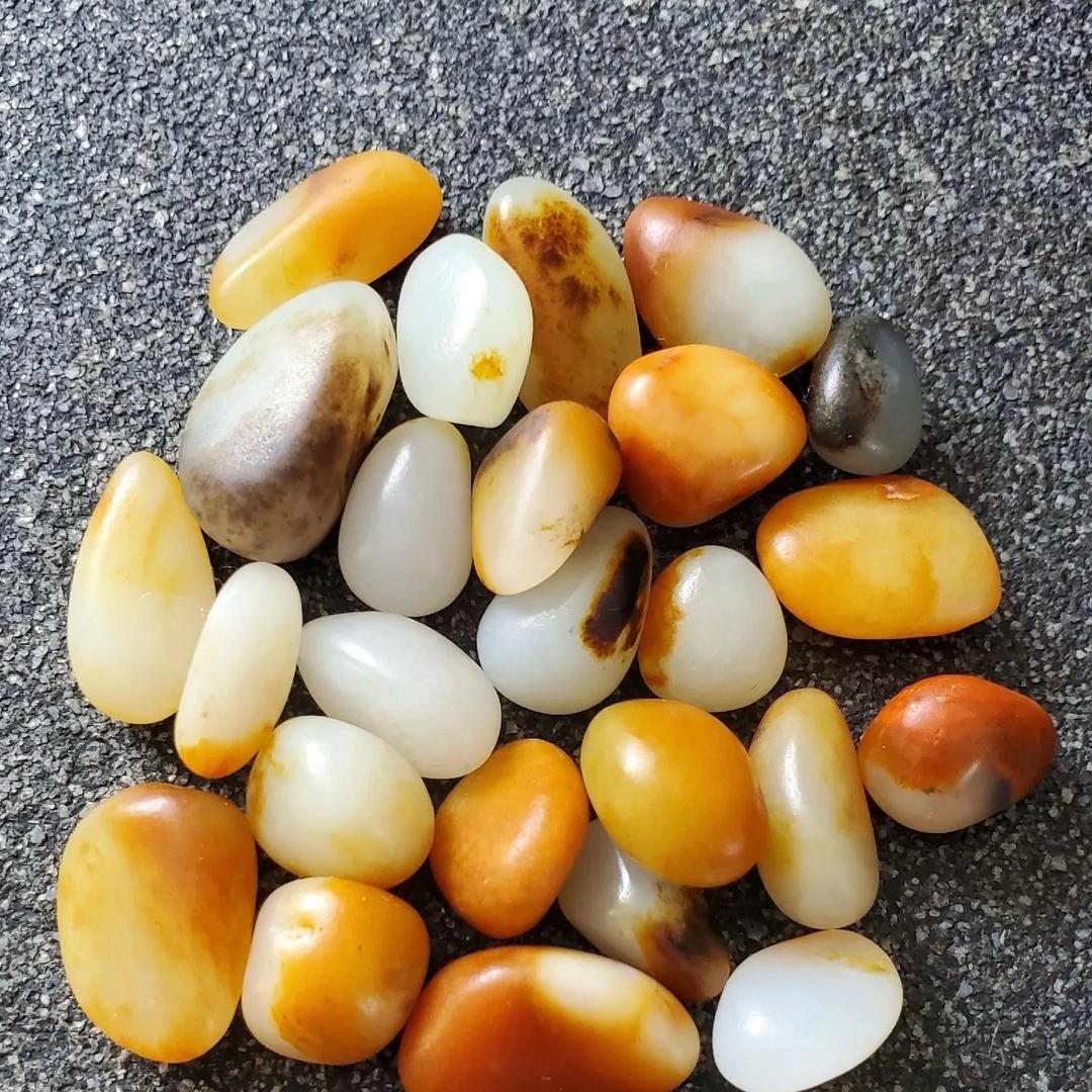 和田籽玉888