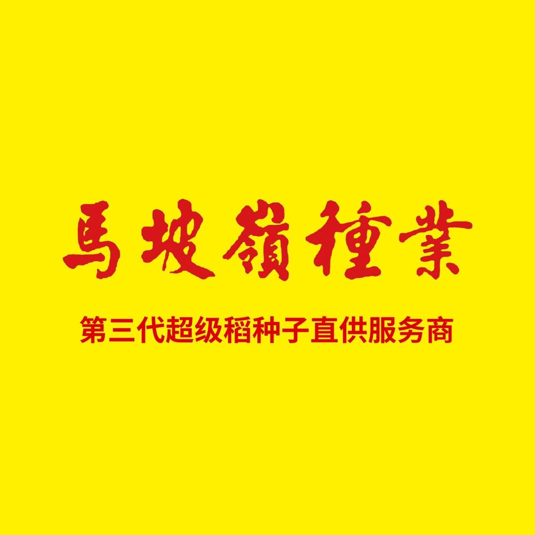 马坡岭水稻种业
