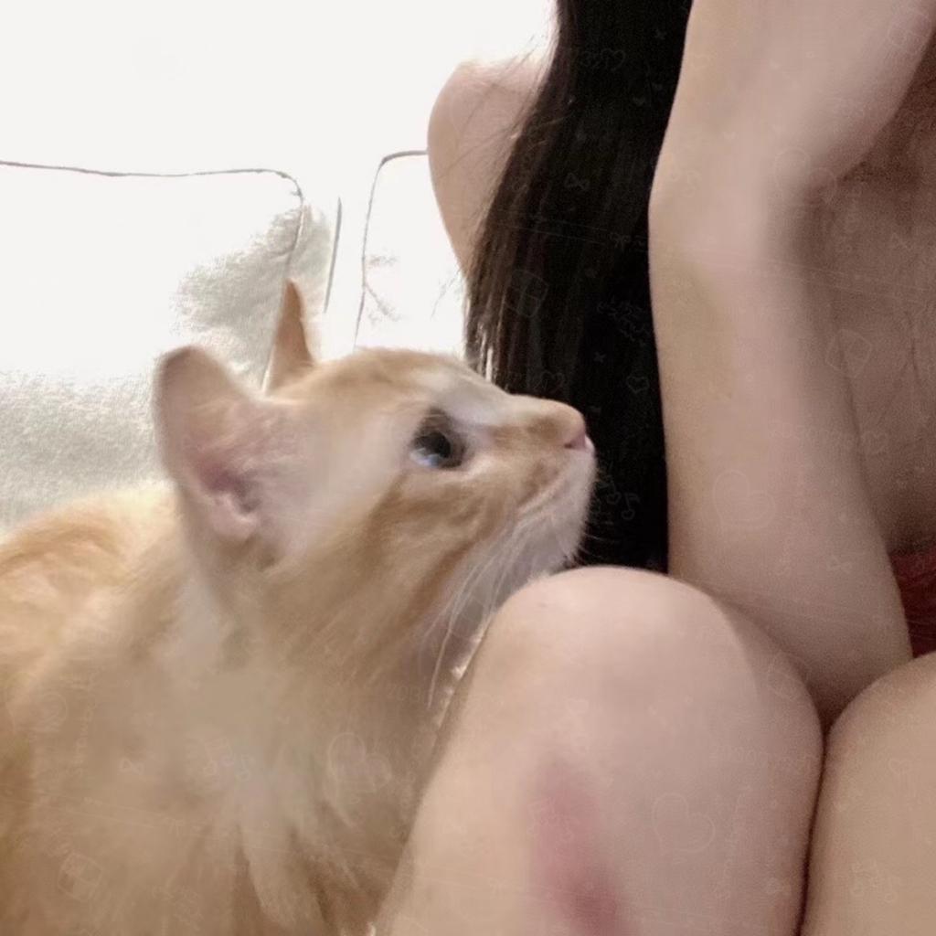 秋酱