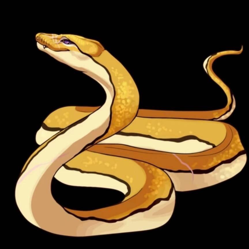 小   青