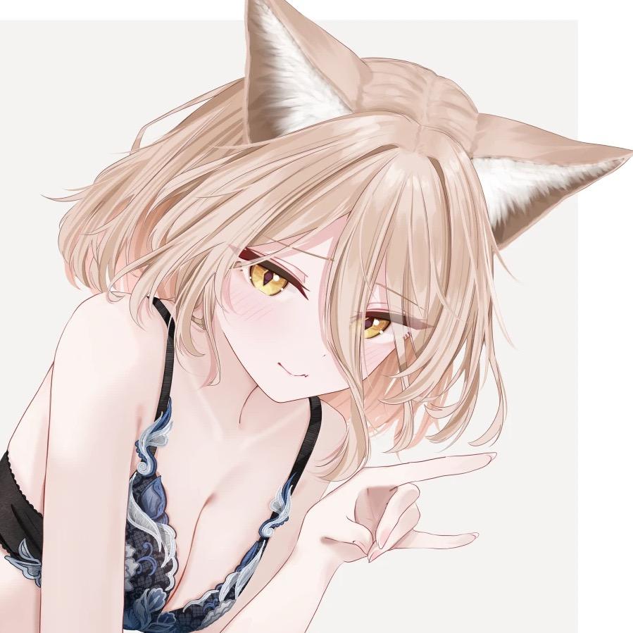 老夕纸NeKo