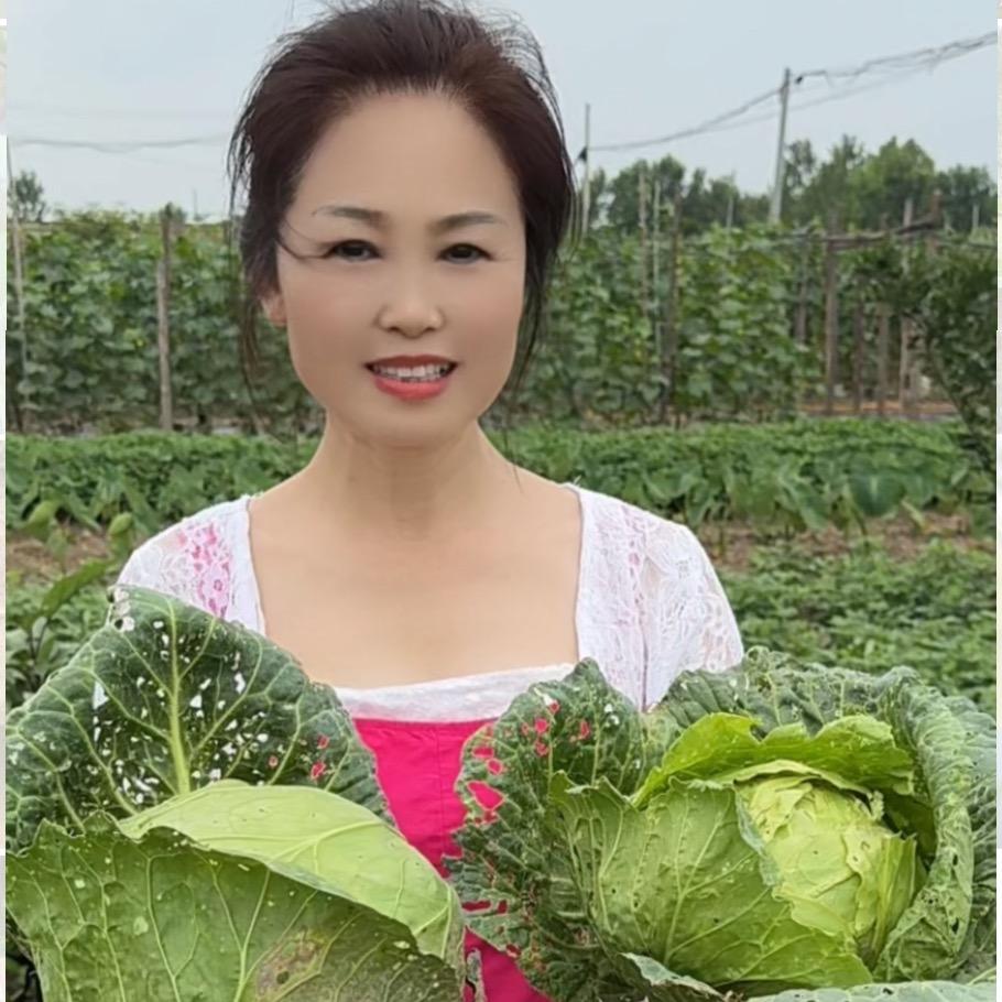 梅菁菁
