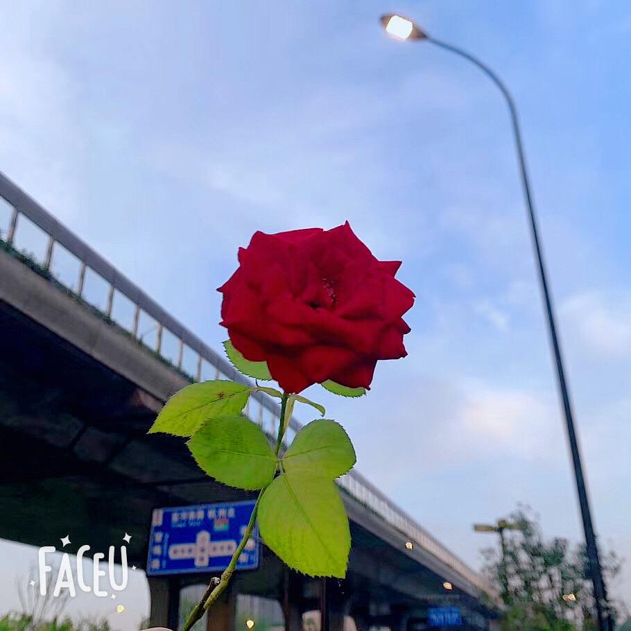 🌈小不点🌈