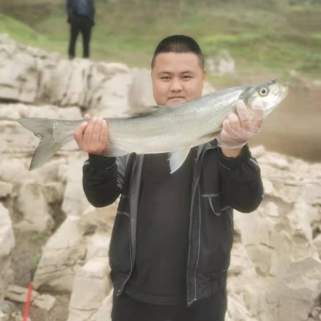 🐟众不同