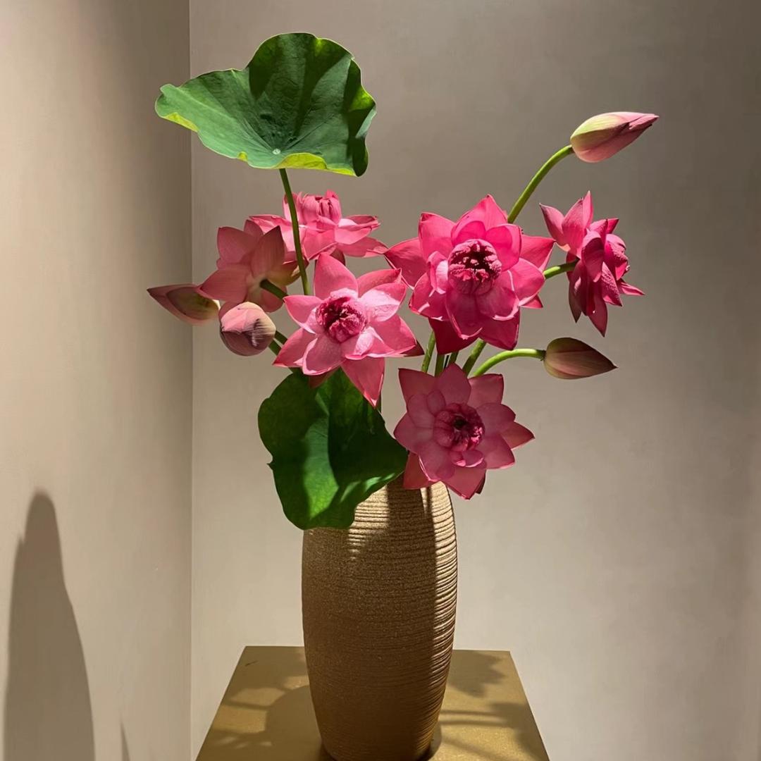 小依依吖