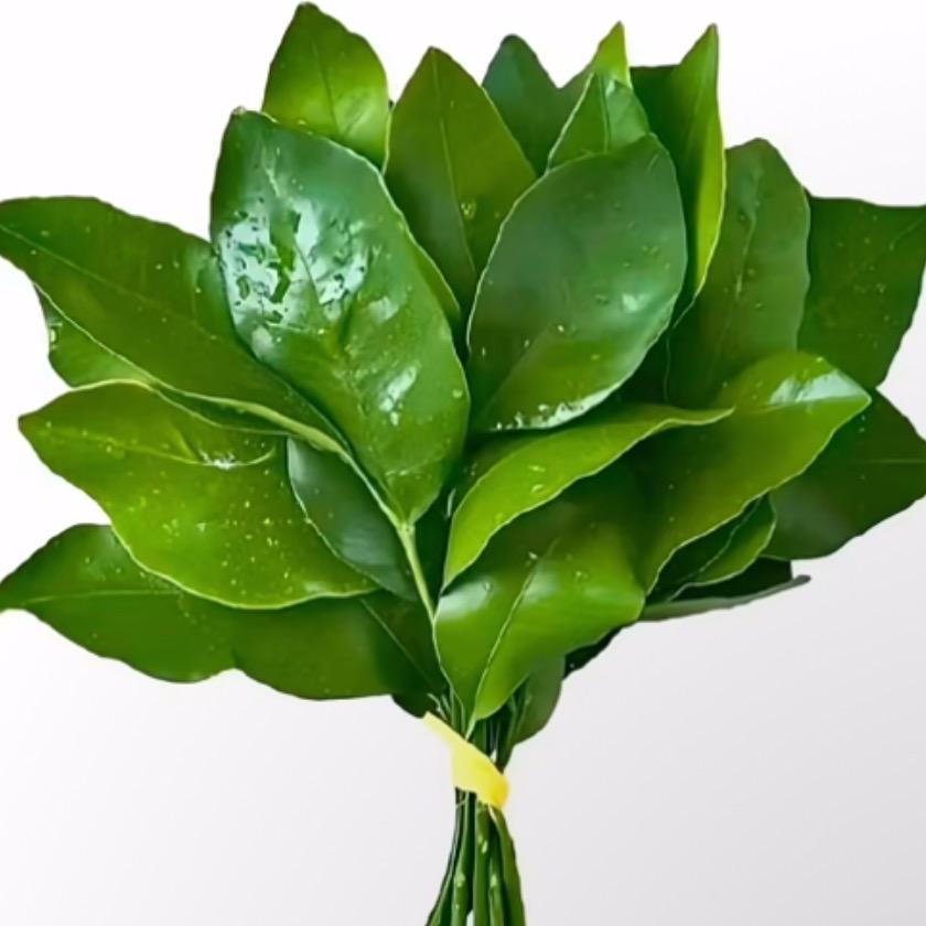 Ayw（as you wish）