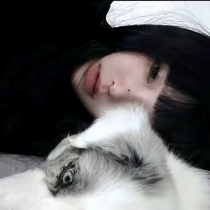 林六六
