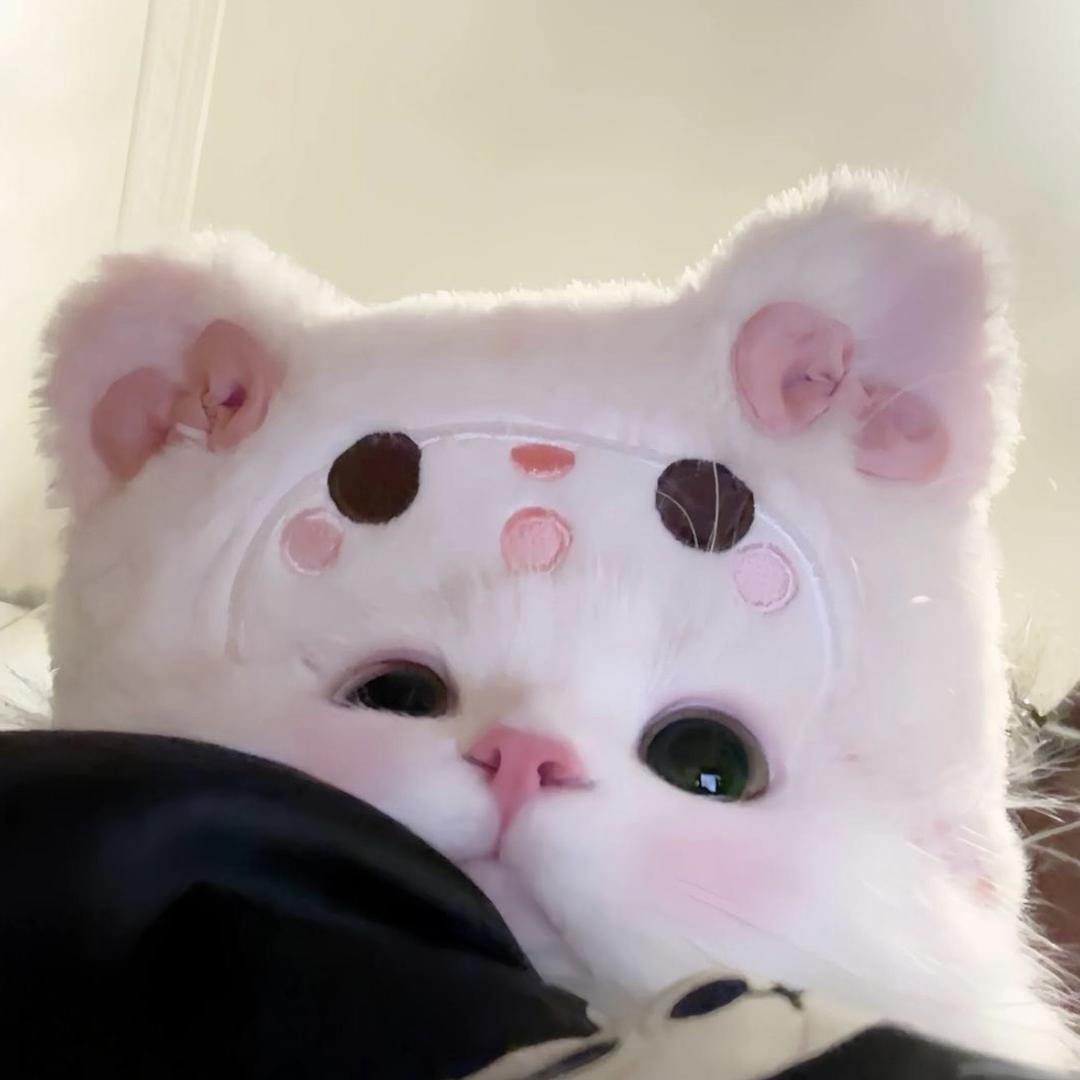 静崽吖