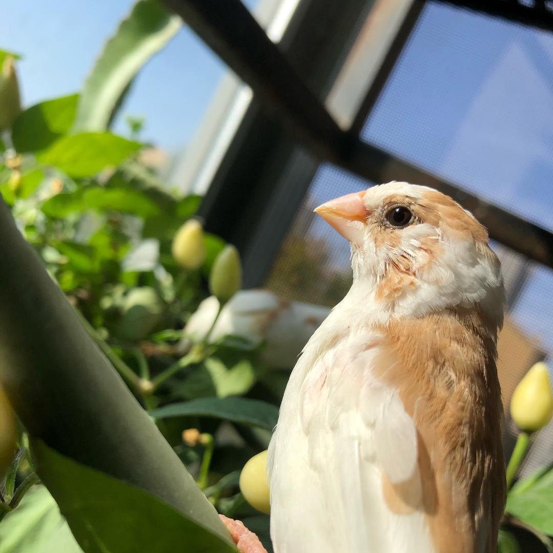 🕊️年年岁岁🐦🕊️