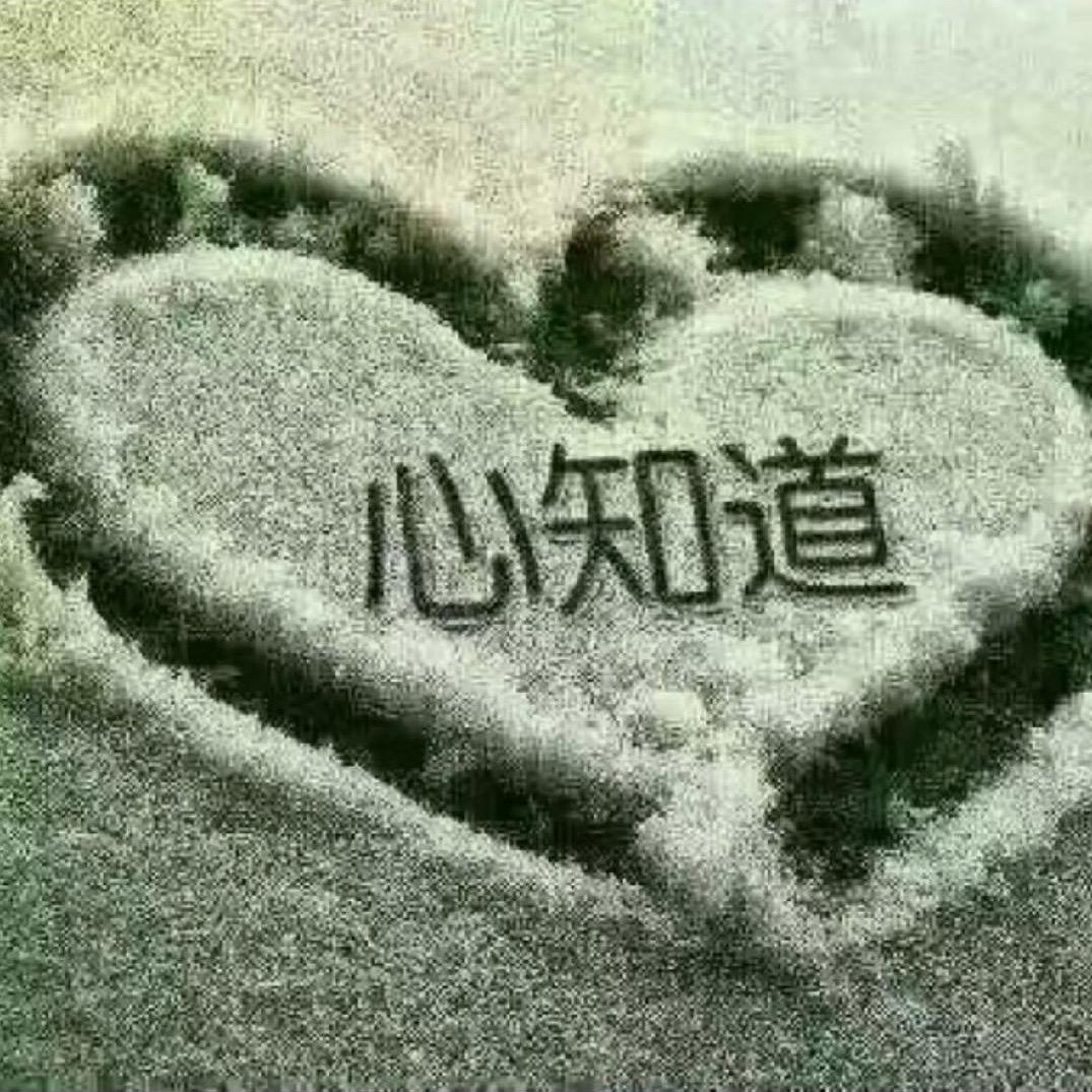 南风知我意