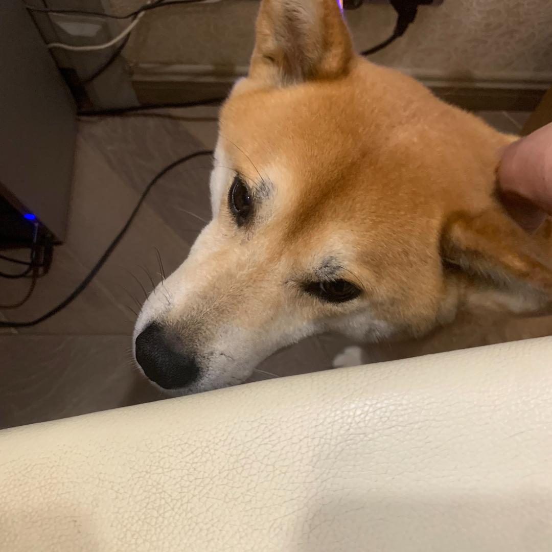 精装改造长沙青姐