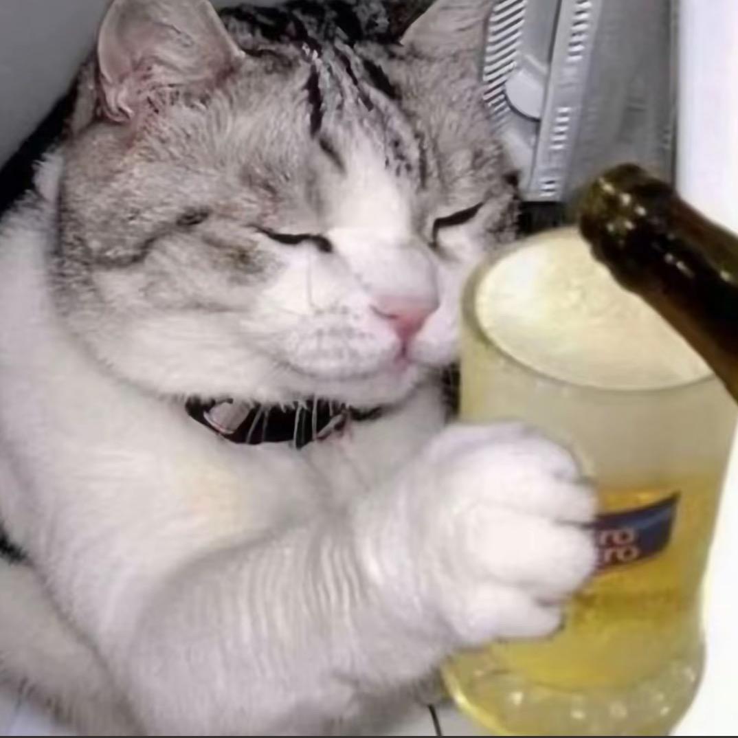 猫猫好