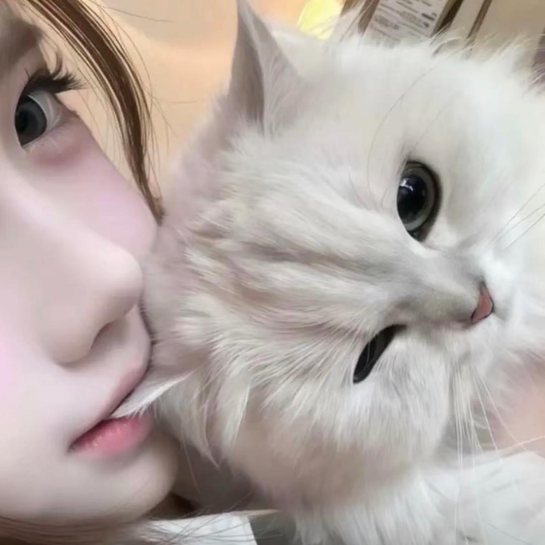零碎小徐