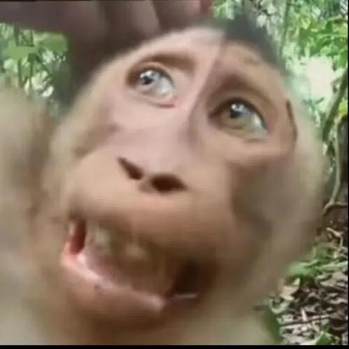 只穿拖鞋头像