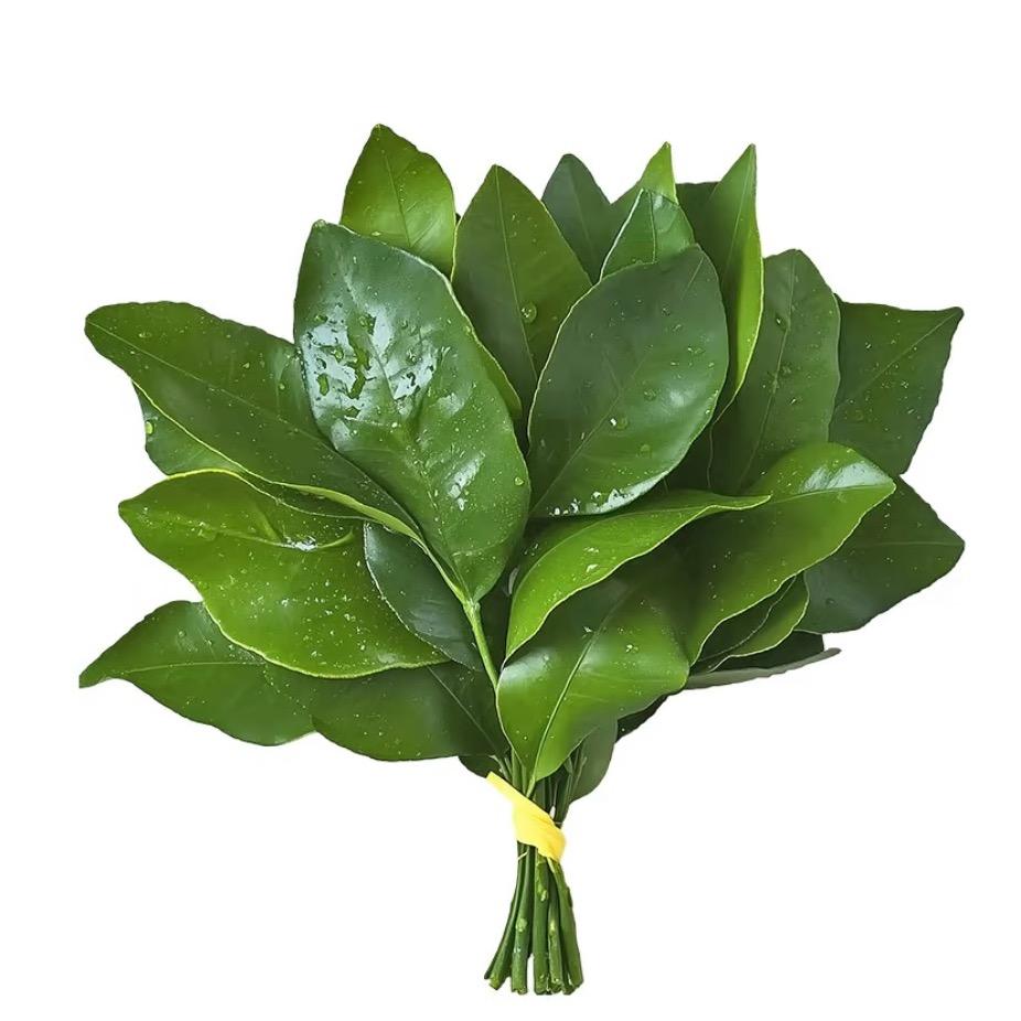 不准碰我刘海