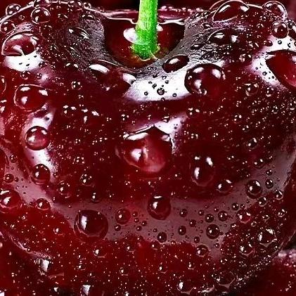 新发地果然鲜小时达