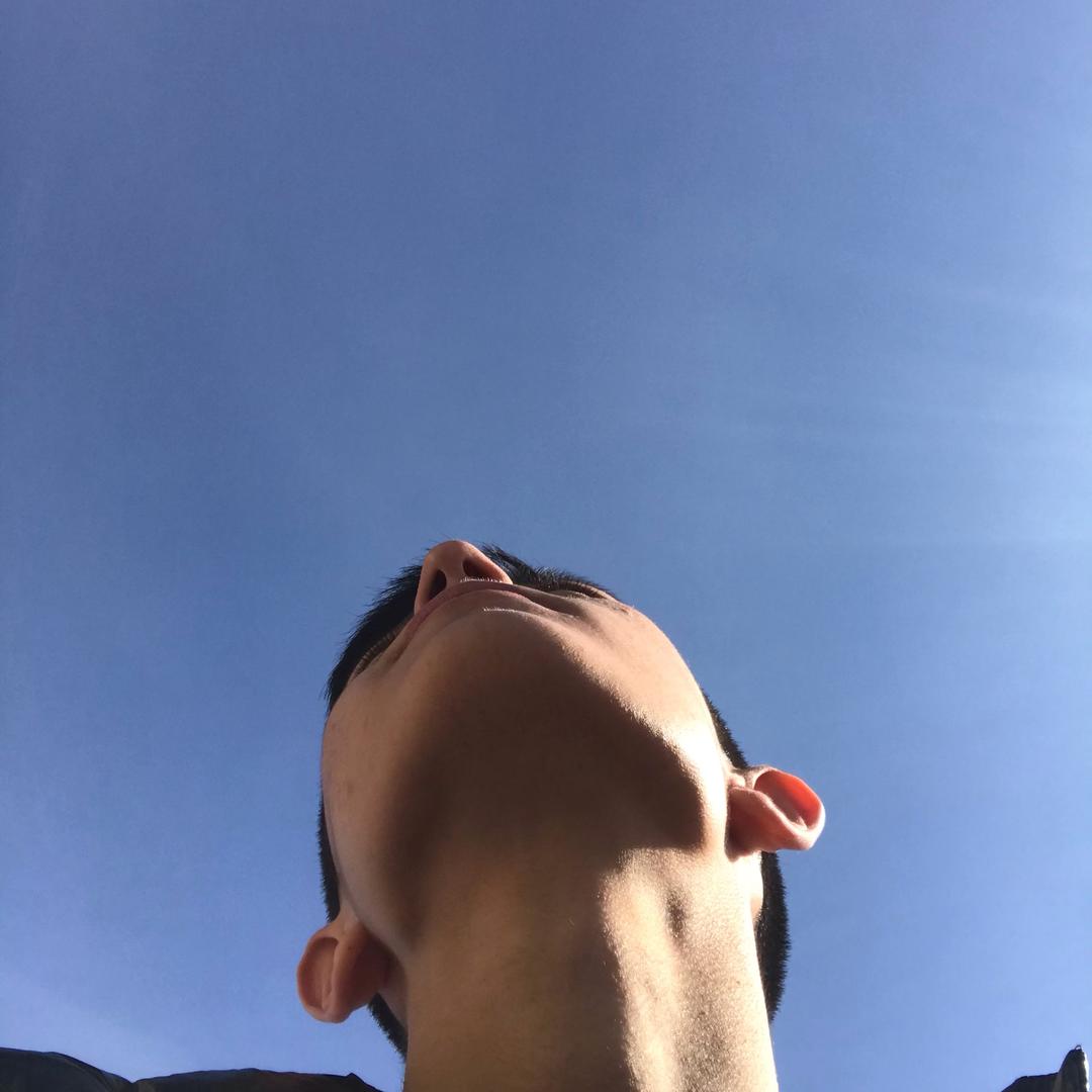 科尔