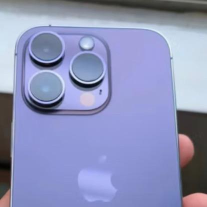 单身一定要坚强