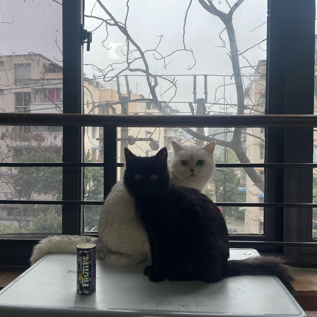 三年