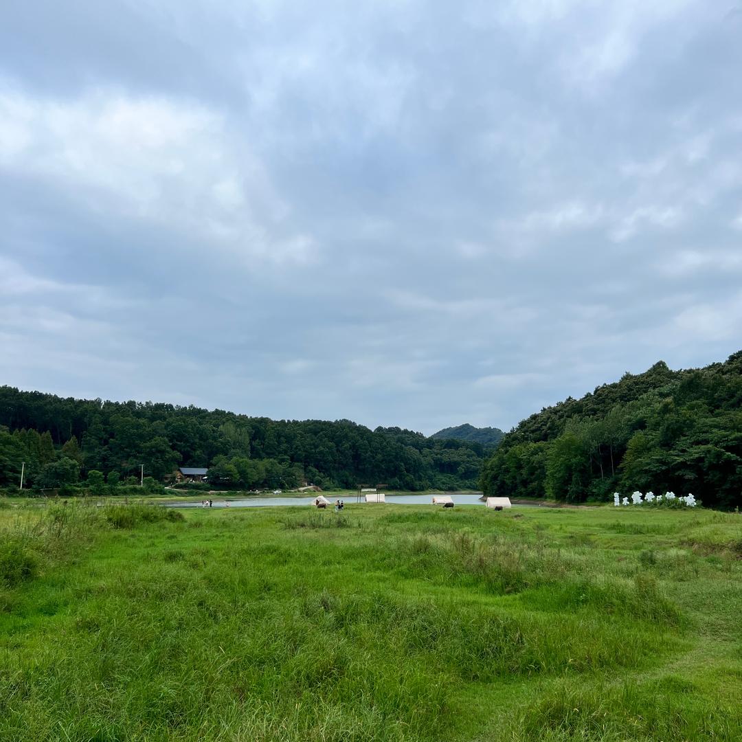 龙门肚局·涮牛肚