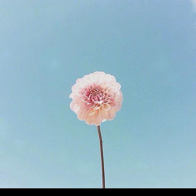 美丽心情