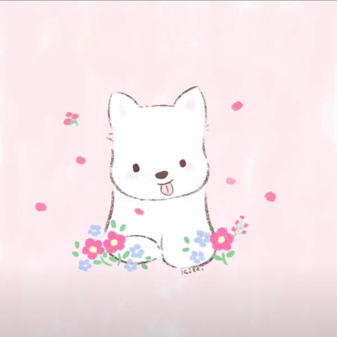 佳佳OvO
