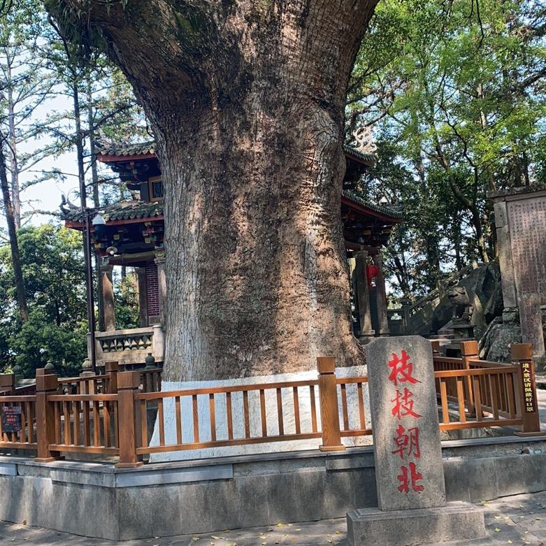 守望阳光