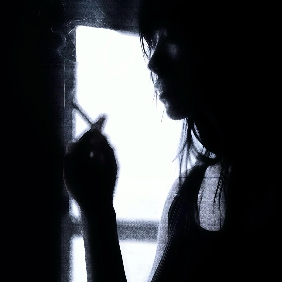 猫猫咪呀🐈⬛